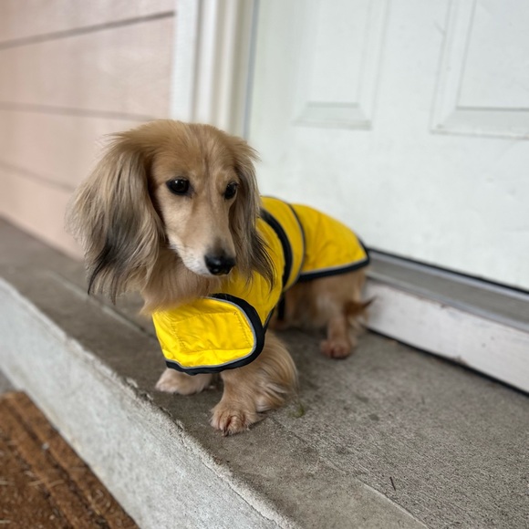 Meet your Posher, Isabella - Picture 3 of 5